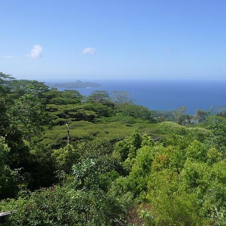 Tropical Garden Self Catering Villa Victoria Buitenkant foto